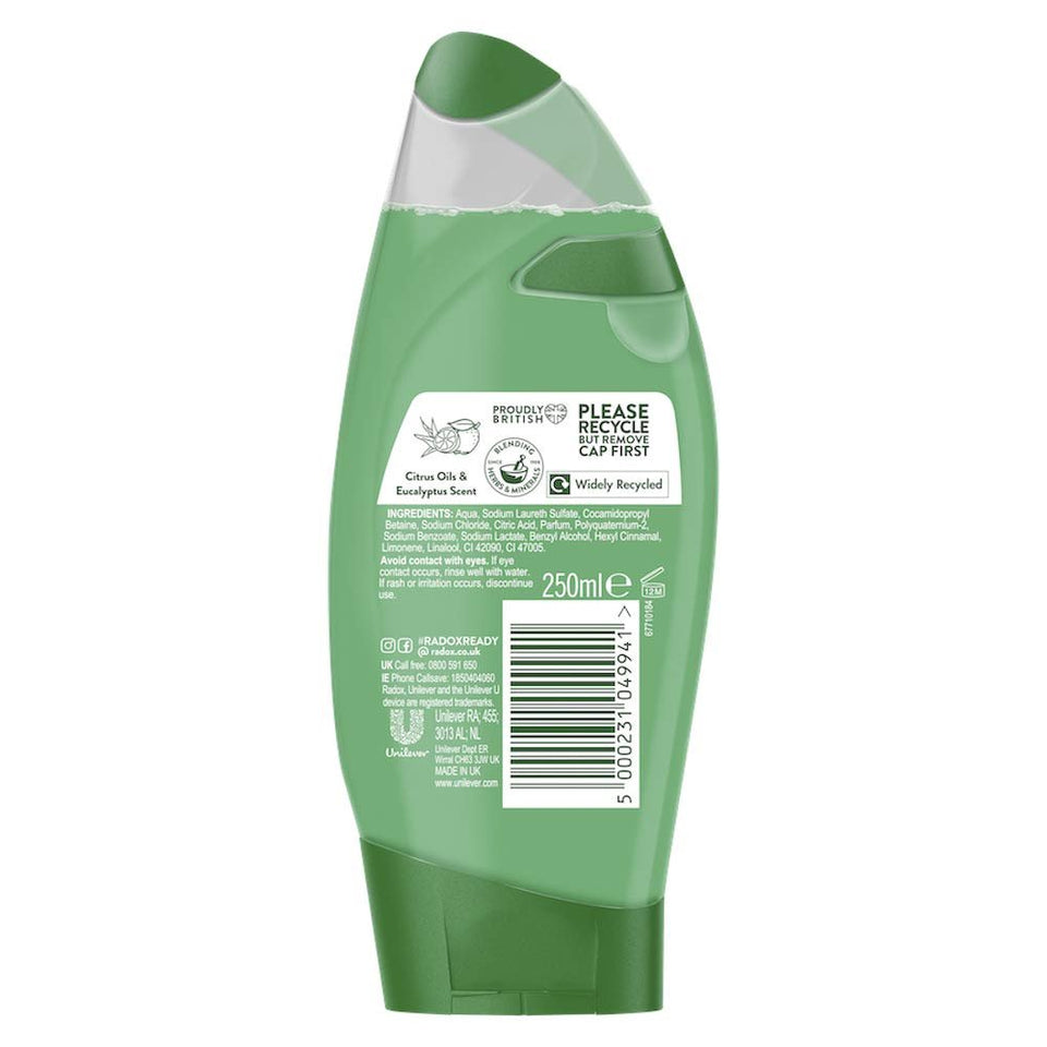 Radox Feel Refreshed with Eucalyptus and Citrus Oil Shower Gel 250 ml - Pack of 6 by Radox